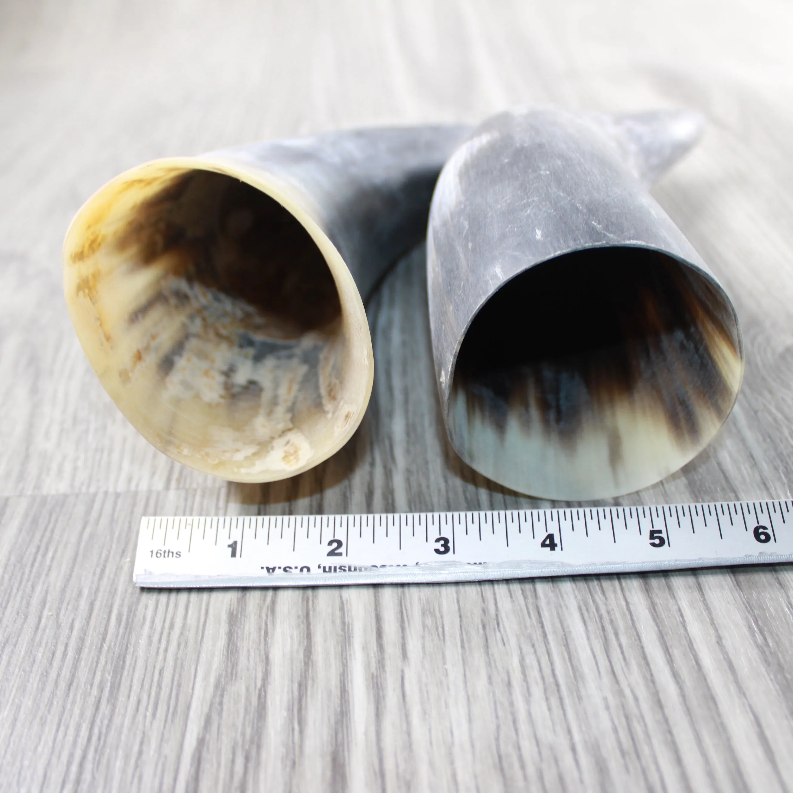 2 Raw Unfinished Cow Horns #804-2 Natural Colored