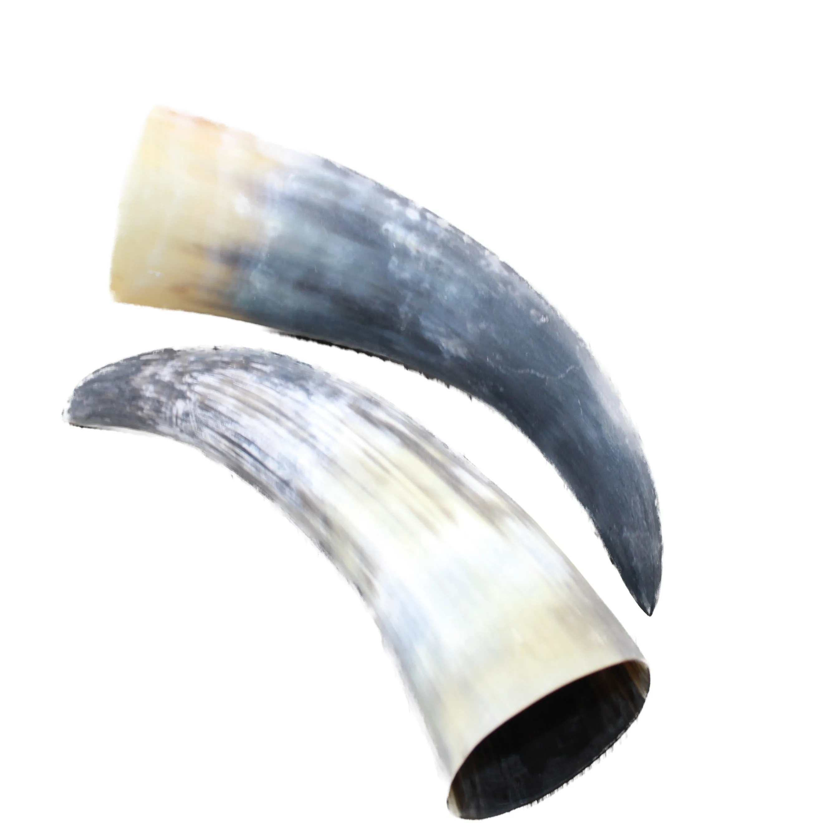 2 Raw Unfinished Cow Horns #804-2 Natural Colored