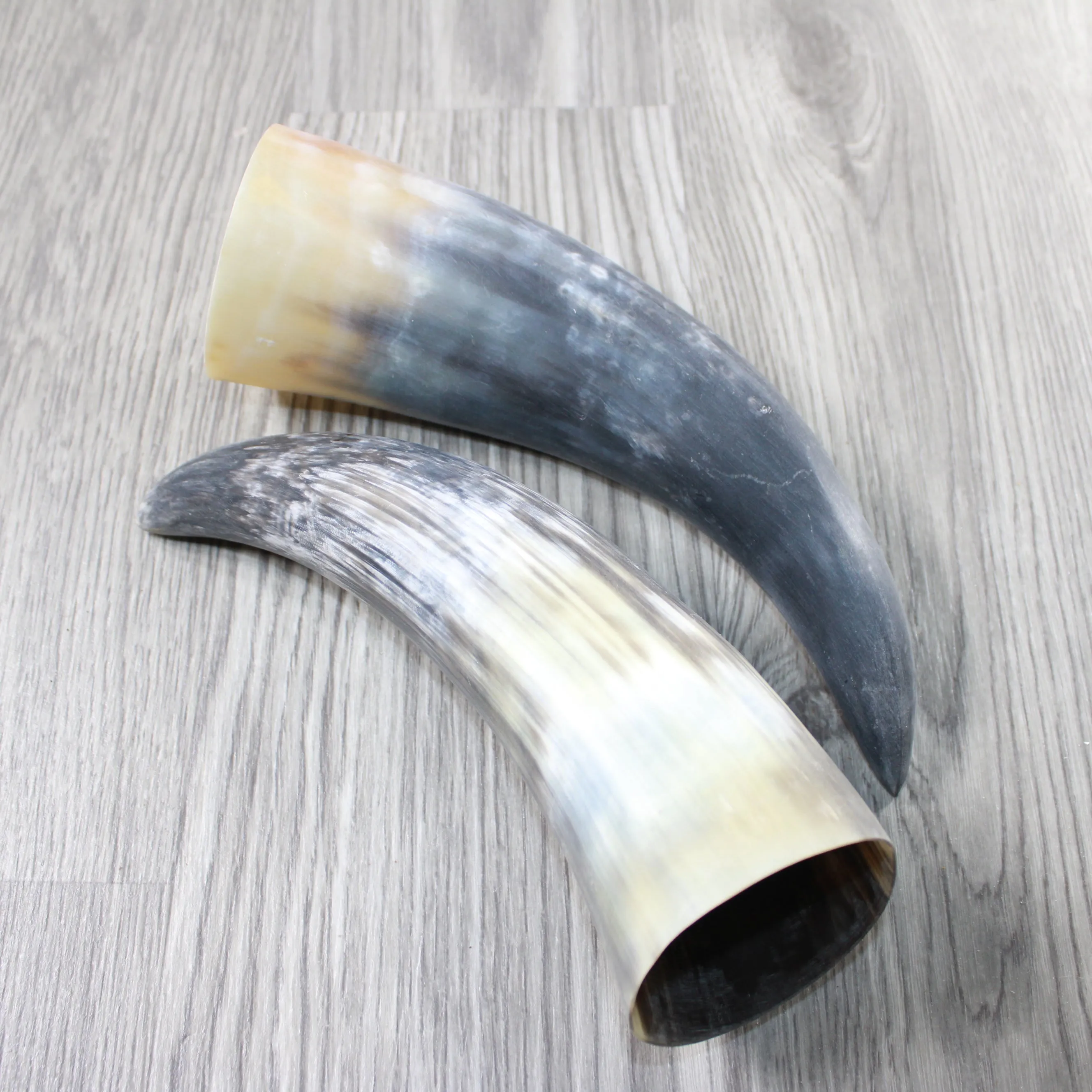 2 Raw Unfinished Cow Horns #804-2 Natural Colored