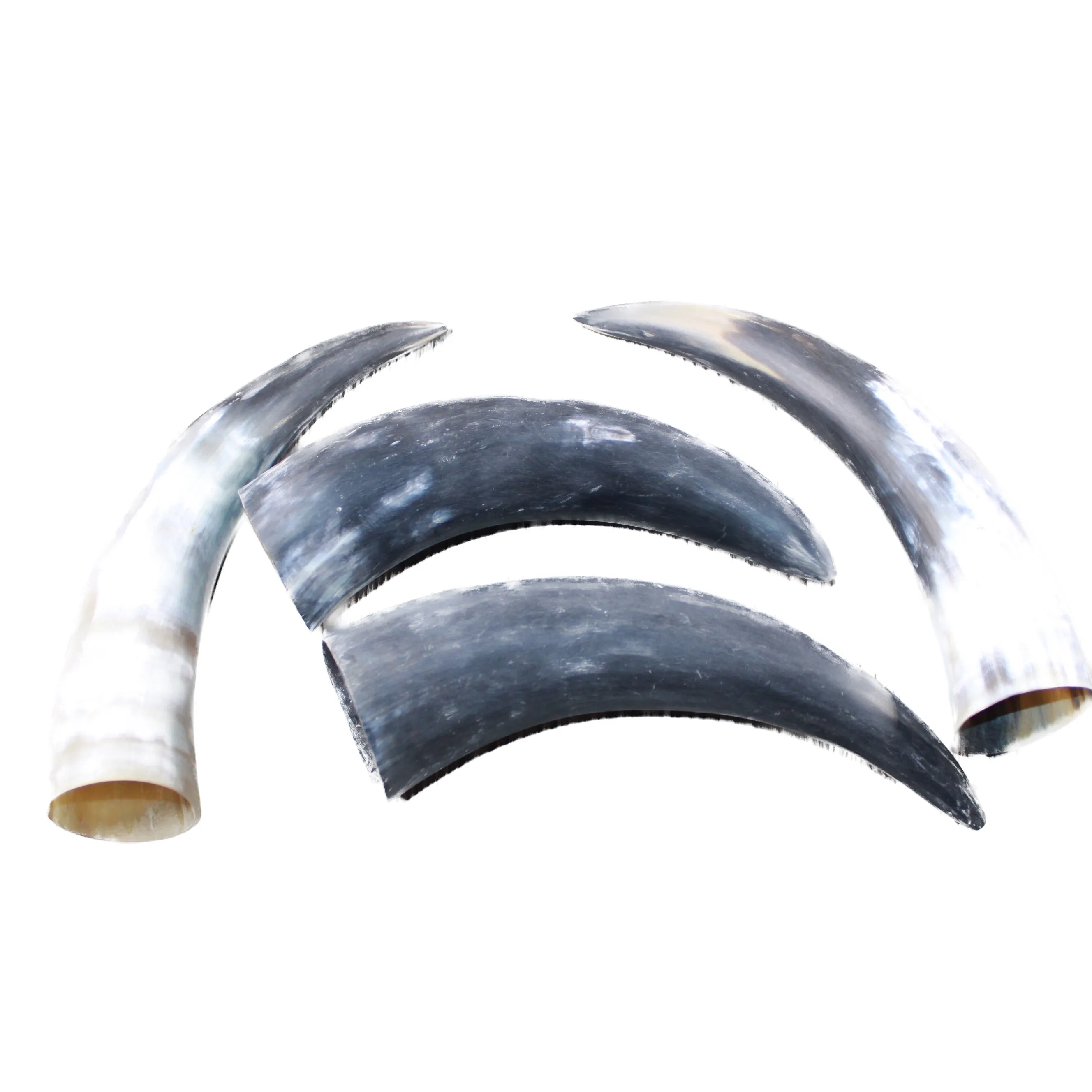 4 Raw Unfinished Cow Horns #4147 Natural Colored
