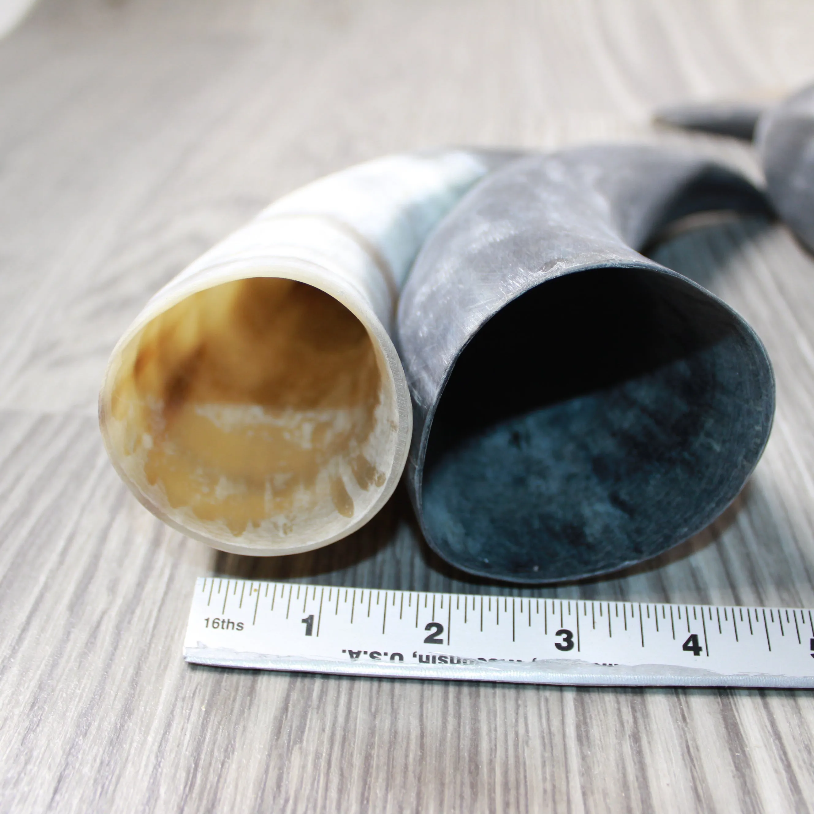 4 Raw Unfinished Cow Horns #4147 Natural Colored