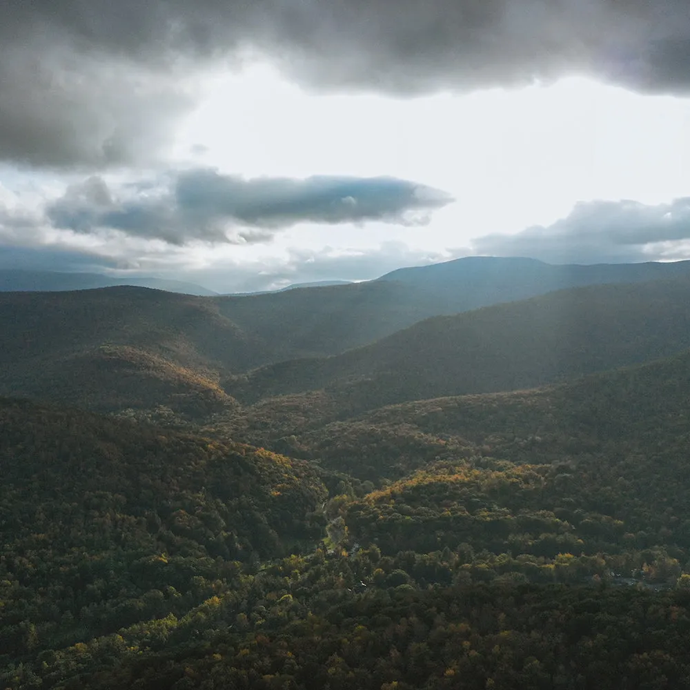 Bear Mountain // The Graham & Co. x Hiro Clark
