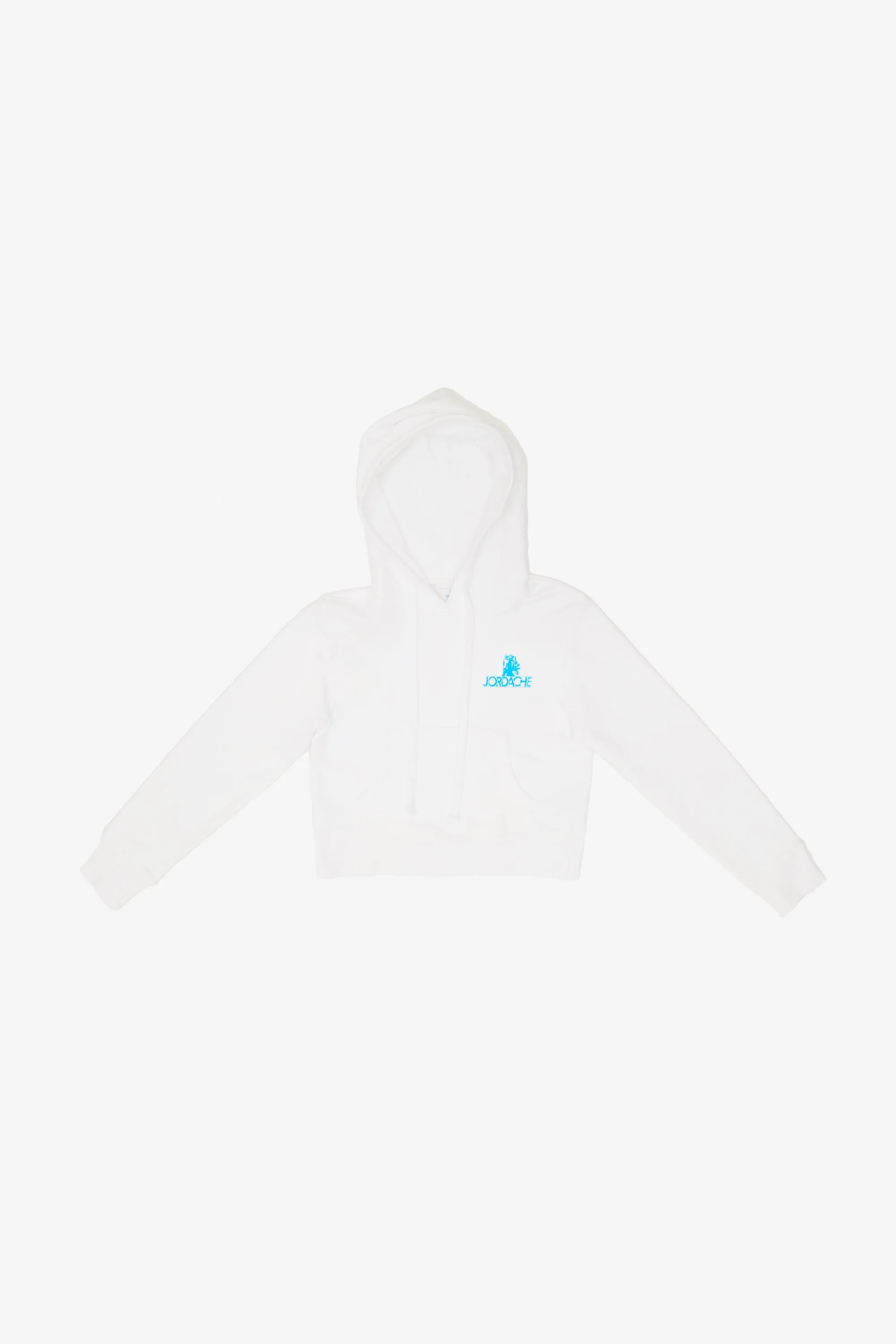 Blue Mini Logo Hooded Sweatshirt