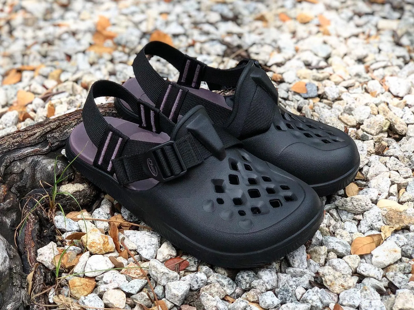 CHACO Chillos Clog Black Women JCH109158 (LF)