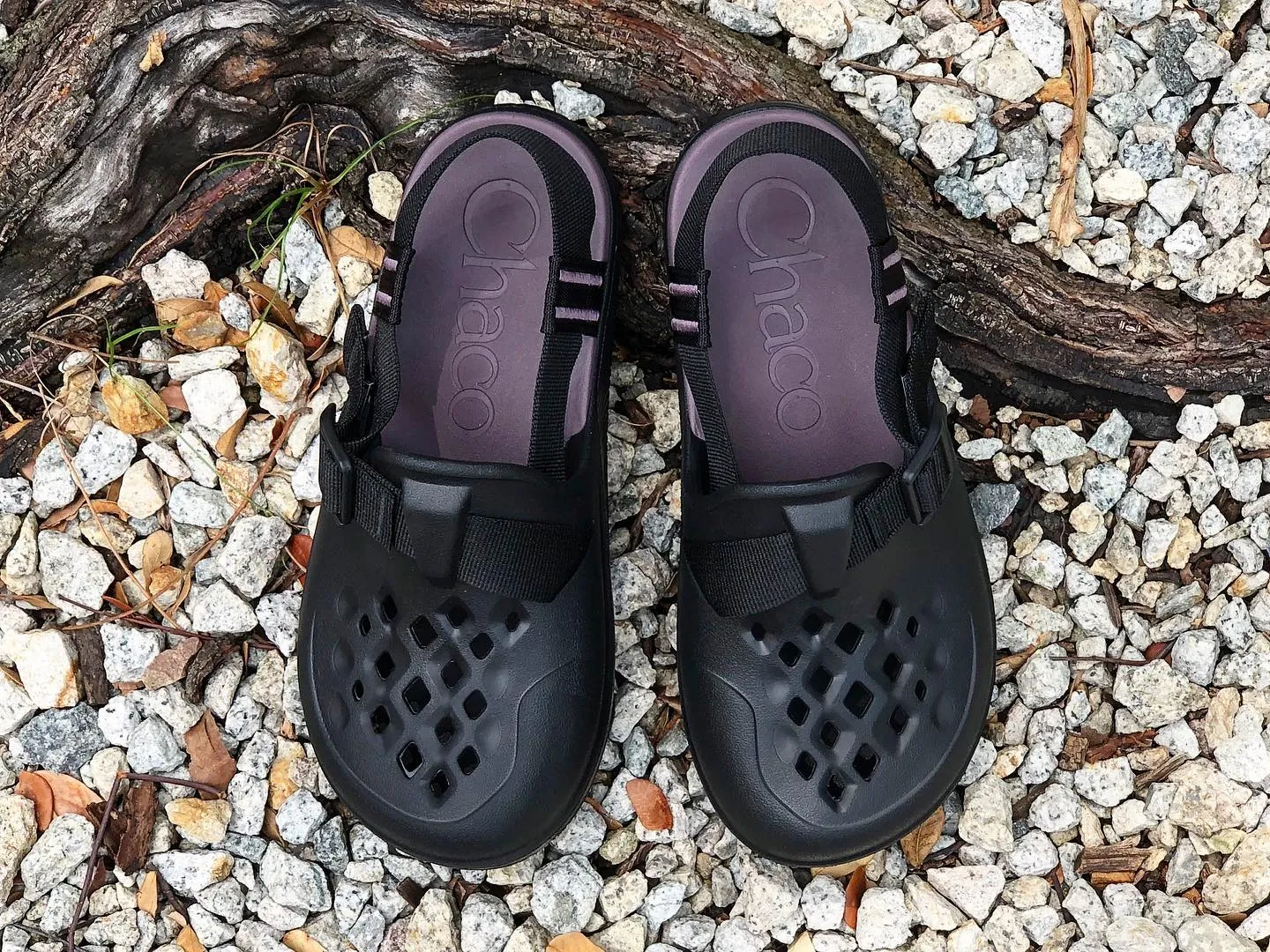 CHACO Chillos Clog Black Women JCH109158 (LF)