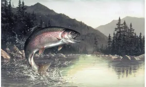 Grey Lake Mountain Fish HB112192 Wallpaper Border