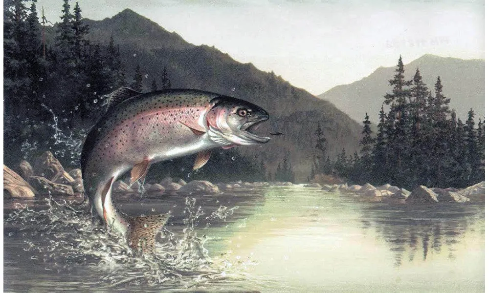 Grey Lake Mountain Fish HB112192 Wallpaper Border