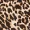 Leopard Print High Neck Bodycon Midi Dress