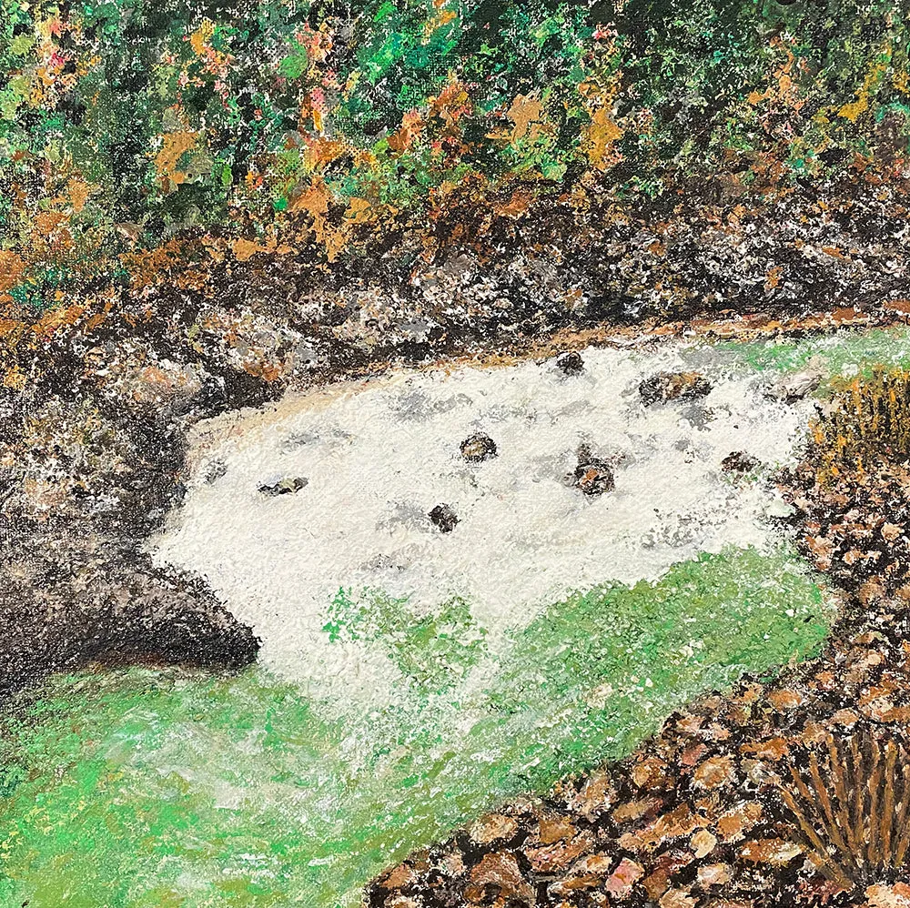 Mountain Rapids