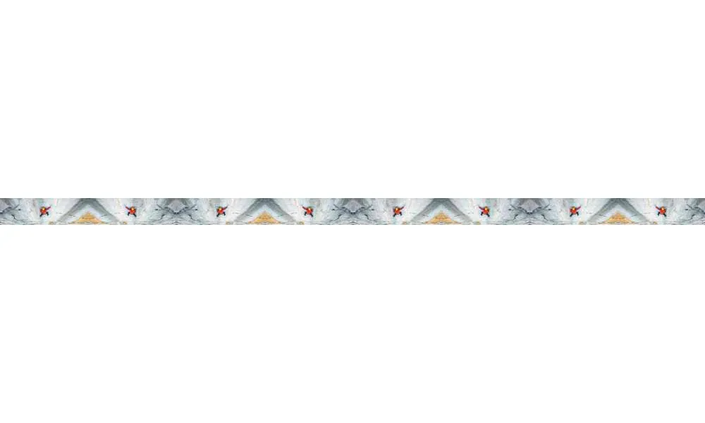 Mountaincognito Big Wall Dog Leash