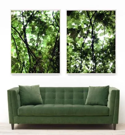 Nature Light - Natural Curiosities