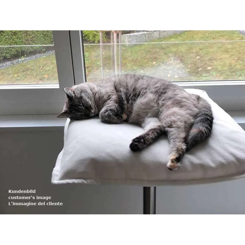 Pet Interiors Poet Designer Cat Bed