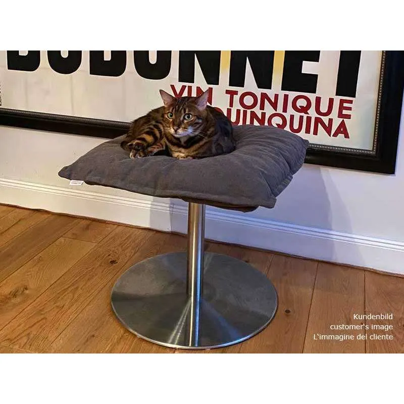 Pet Interiors Poet Designer Cat Bed