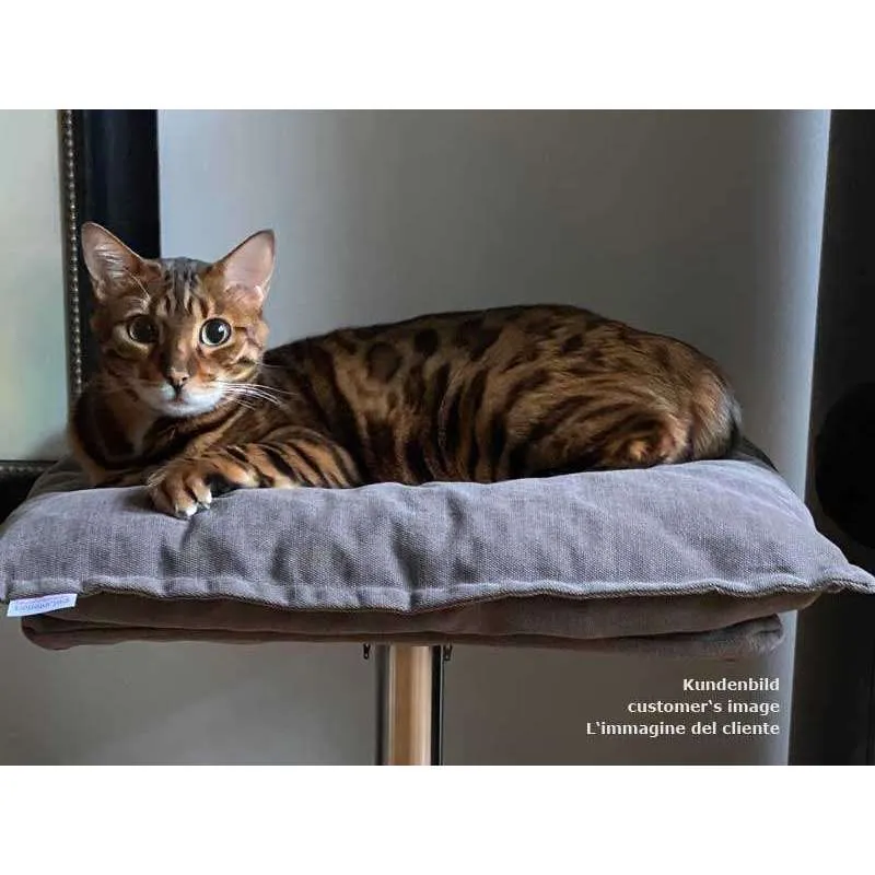 Pet Interiors Poet Designer Cat Bed