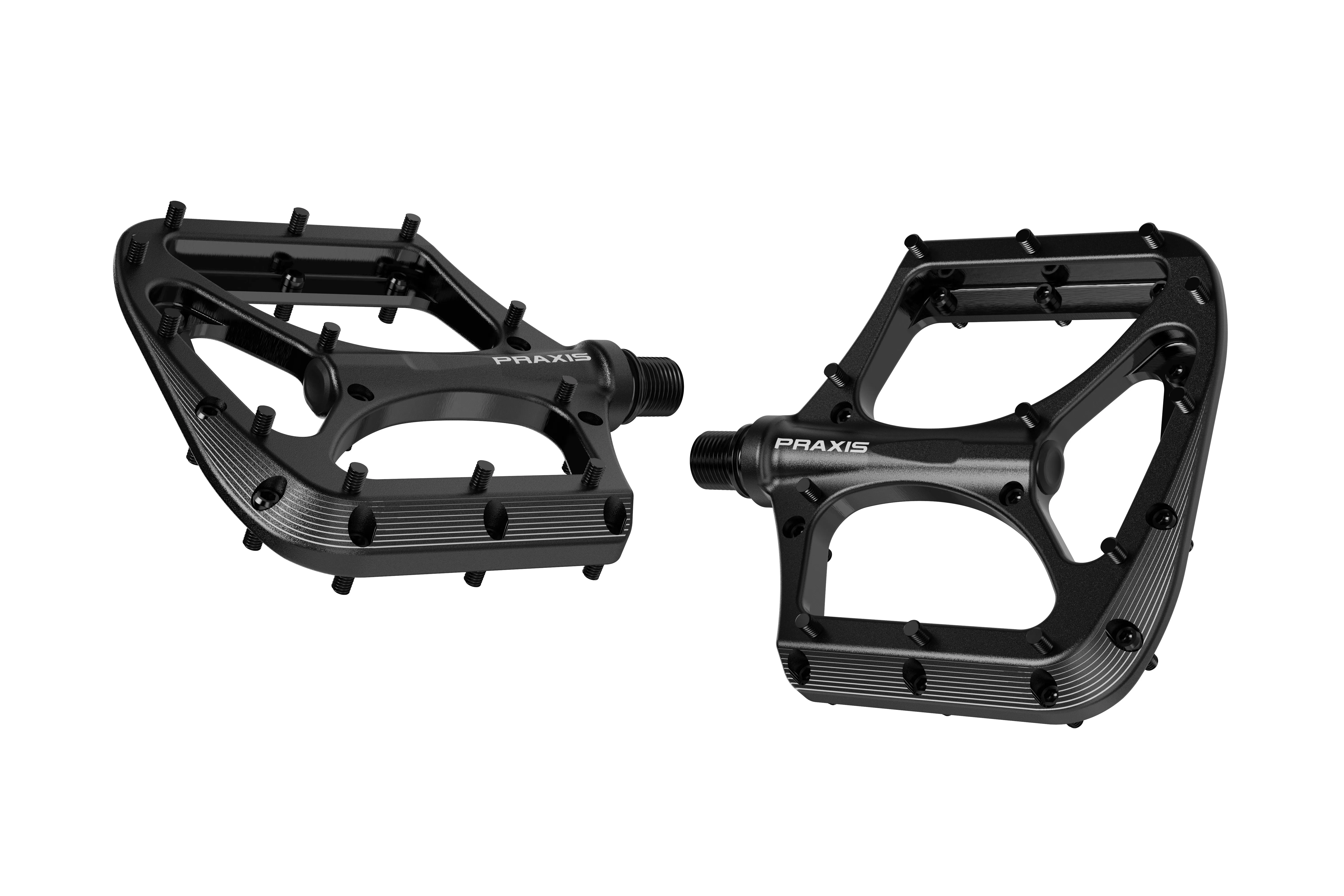 Praxis BRODIUM Pedal