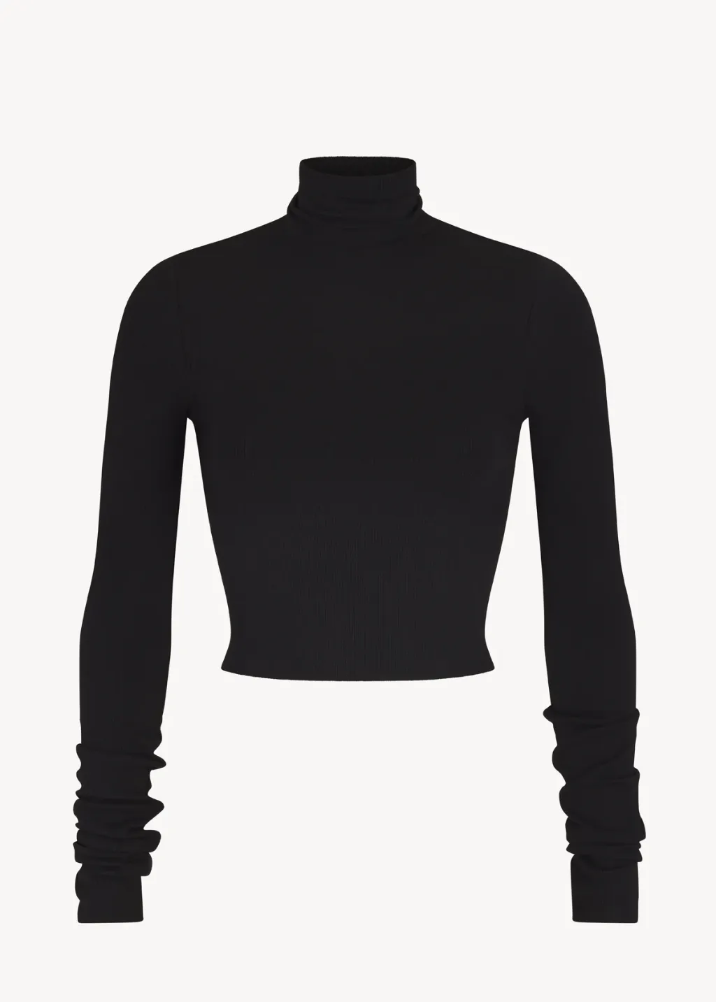 Éterne Cropped Fitted Turtleneck Top